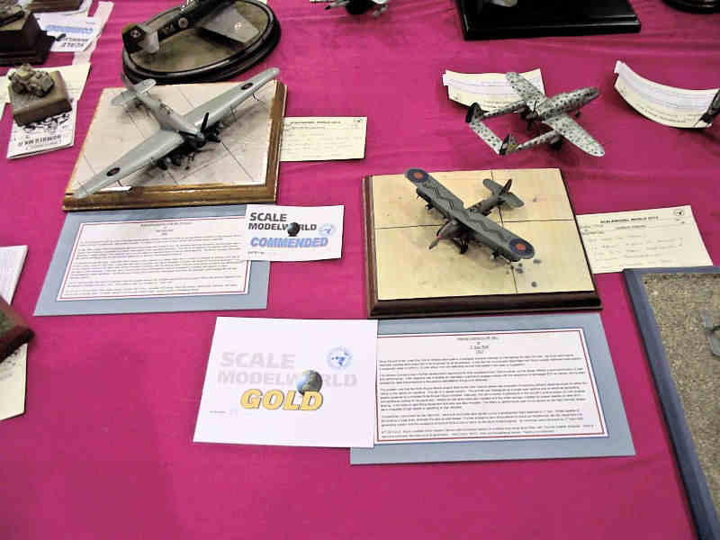 Scale Model World 2010 Contest Room Photo 231