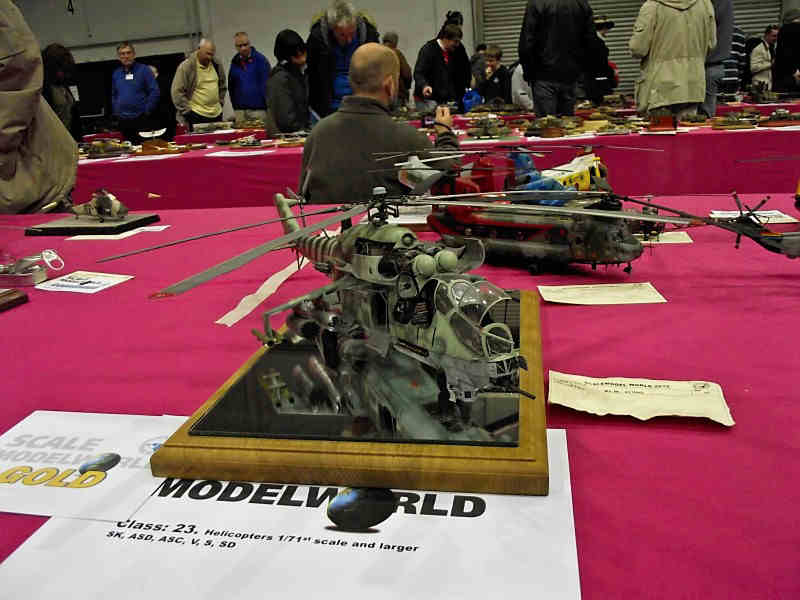 Scale Model World 2010 Contest Room Photo 260