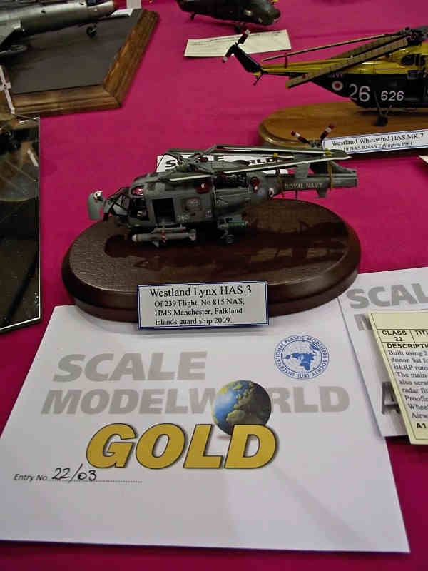 Scale Model World 2010 Contest Room Photo 262