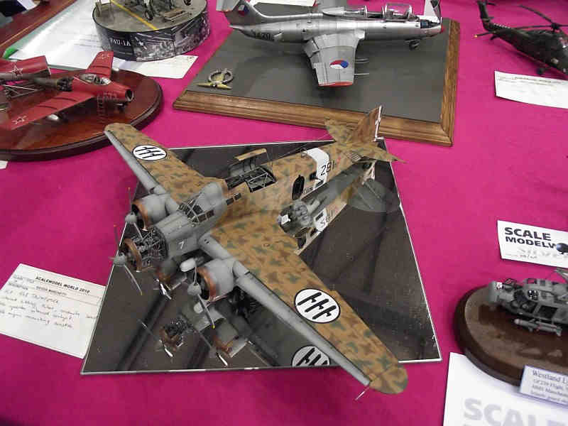 Scale Model World 2010 Contest Room Photo 263