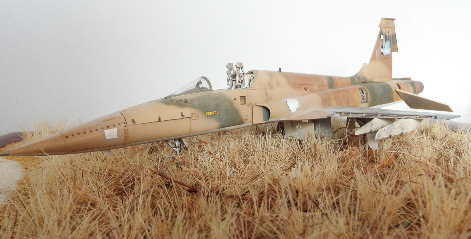 Kinetic Models/Lucky Model Contest 2014 - 1/48 F-5A Freedom Fighter Image A011_01