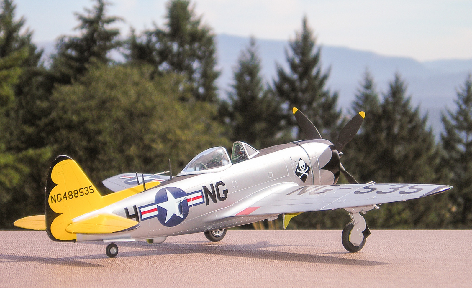 MRC/Academy Contest 2013 - 1/48 P-47N Thunderbolt Image A009_01