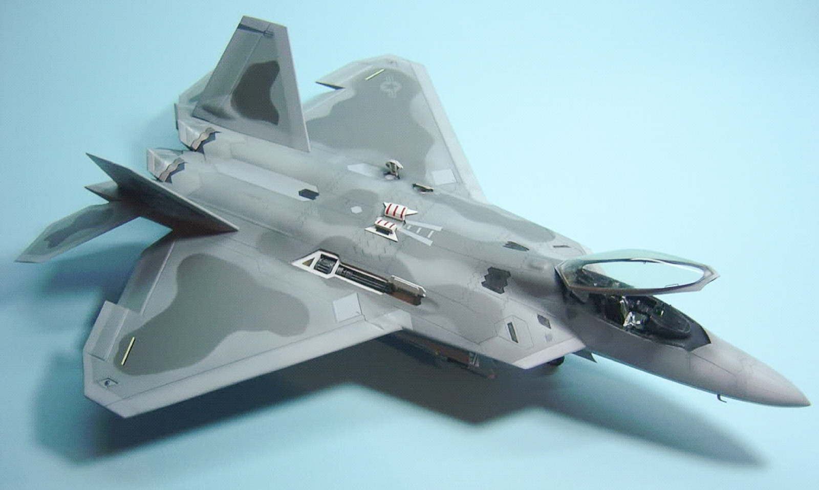 MRC/Academy Contest 2013 - 1/48 F-22A Raptor Image A042_01